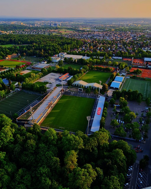 了中国在单 了中国在单